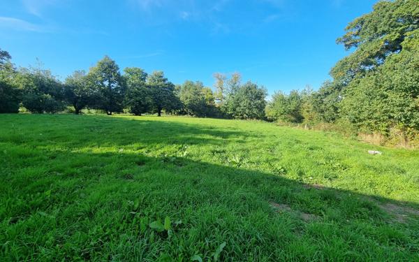 Maison à vendre    6 pièces • 220 m2 Saint-Priest-Ligoure