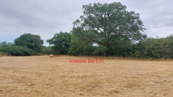 Terrain à vendre de 4 920 m²