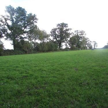 Terrain de loisirs - Bois - Etang à vendre à Le Mesnil-Garnier dans la Manche (50450), ref : 50038-2604