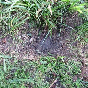 Terrain de loisirs - Bois - Etang à vendre à Le Mesnil-Garnier dans la Manche (50450), ref : 50038-2604