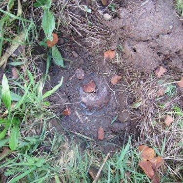 Terrain de loisirs - Bois - Etang à vendre à Le Mesnil-Garnier dans la Manche (50450), ref : 50038-2604