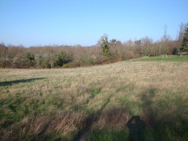 Terrain à vendre  CHAMPCEVINEL (24)