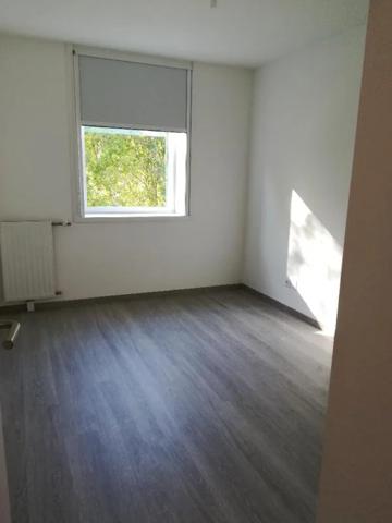Appartement à louer à Nantes (44300)