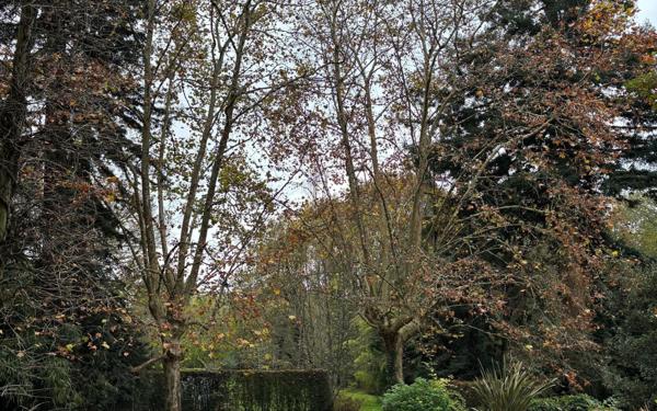 Maison à vendre    6 pièces • 211 m2 Bergerac