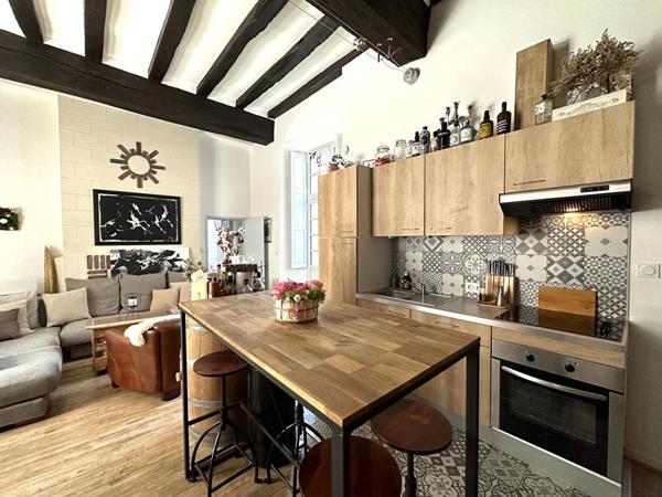 DOUTRE BEAU T3 MEUBLE disponible le 01/04