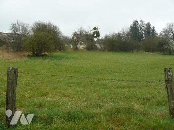 Terrain à Vendre à Domèvre-sur-Durbion (88330) en Vosges (88)

Ce terrain à bâtir est situé d...