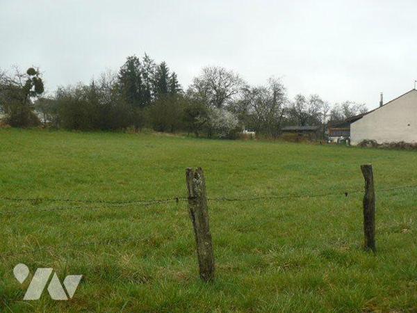 Terrain à Vendre à Domèvre-sur-Durbion (88330) en Vosges (88)

Ce terrain à bâtir est situé d...