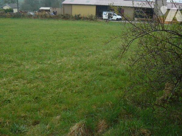 Terrain à Vendre à Domèvre-sur-Durbion (88330) en Vosges (88)

Ce terrain à bâtir est situé d...