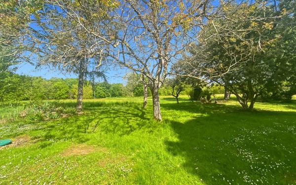 Maison à vendre    5 pièces •  Moncaut