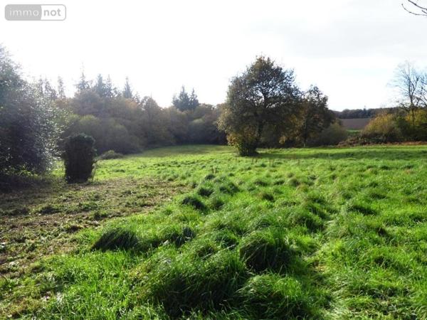 Maison à vendre à Langoëlan dans le Morbihan (56160), ref : 56075-2469