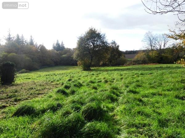 Maison à vendre à Langoëlan dans le Morbihan (56160), ref : 56075-2469