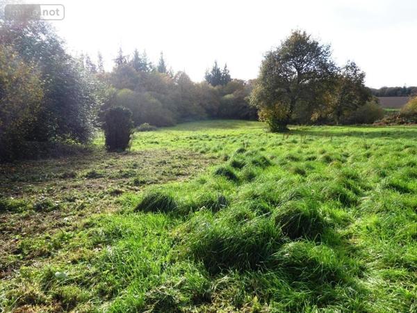 Maison à vendre à Langoëlan dans le Morbihan (56160), ref : 56075-2469