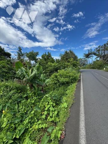 Terrain arboré 1035 m² avec vue dégagée – Jean Petit, Saint-Joseph