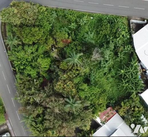 Terrain arboré 1035 m² avec vue dégagée – Jean Petit, Saint-Joseph