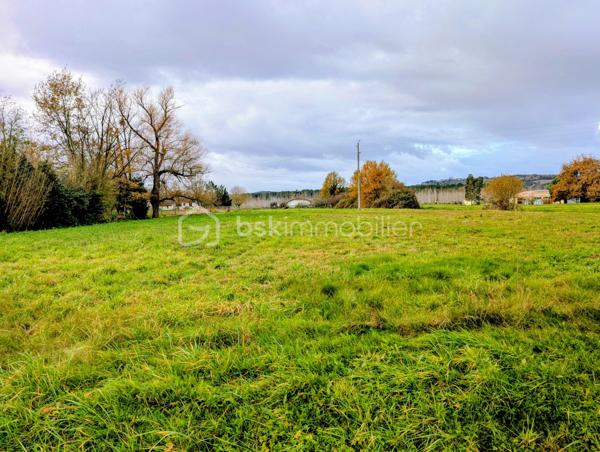 Terrain de 5 000 m²