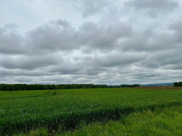 Terrain à vendre    Muirancourt