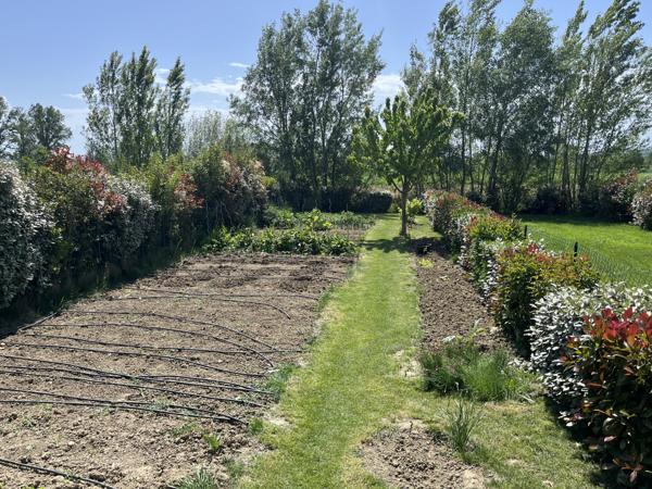 BAZIEGE (31450) - MAISON DE 2019 - 87m2 - AUCUN TRAVAUX A FAIRE  Baziège (31450)