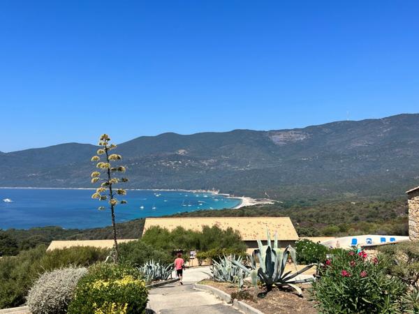 Appartement à vendre 3 pièces SERRA DI FERRO (Corse du Sud 20)