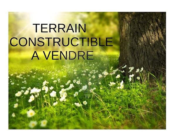 Terrain  en vente - Seine-et-Marne - 77