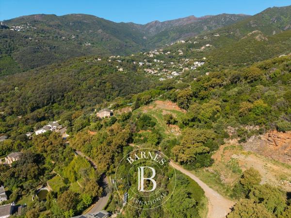 Santa-Maria-di-Lota, Terrain constructible  4 774 m² à vendre
