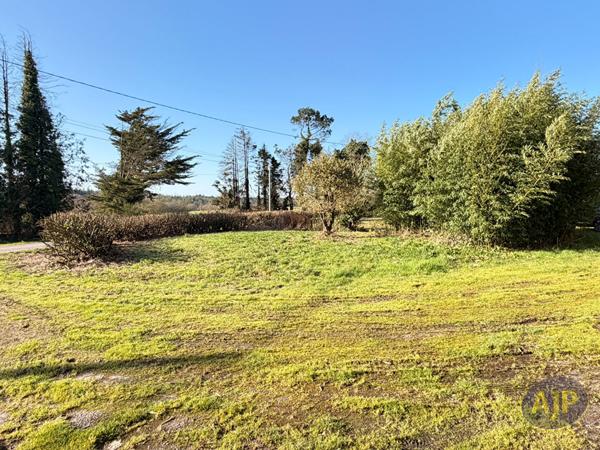 Location appartement Colpo : 850 € - AJP Immobilier Plumelec