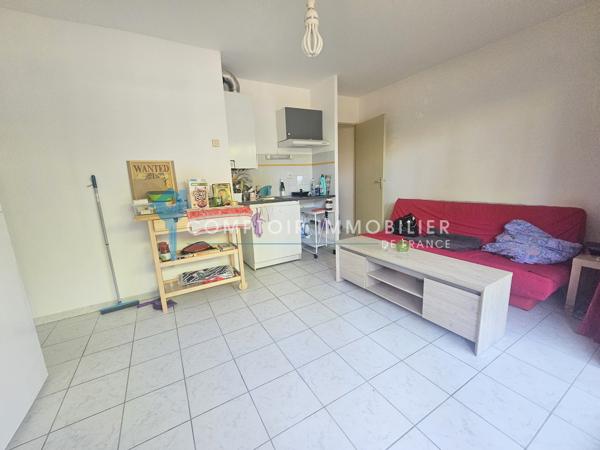 Appartement
                                                                                                                                                                                                                                                                                                                        2 pièce(s)                                                                                                                                                                                                          1 chambre(s)                                                                                                                                                                                                          31  m²