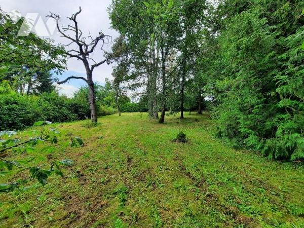 BOURG-ET-COMIN : BELLE DEMEURE A RENOVER AVEC ETANG

Vous recherchez une maison avec plus de ...