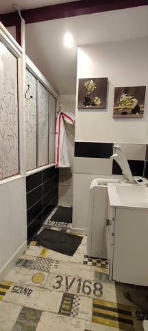 Toulouse: belle maison T7 + studio
