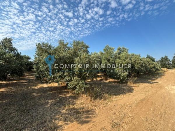 Terrain agricole