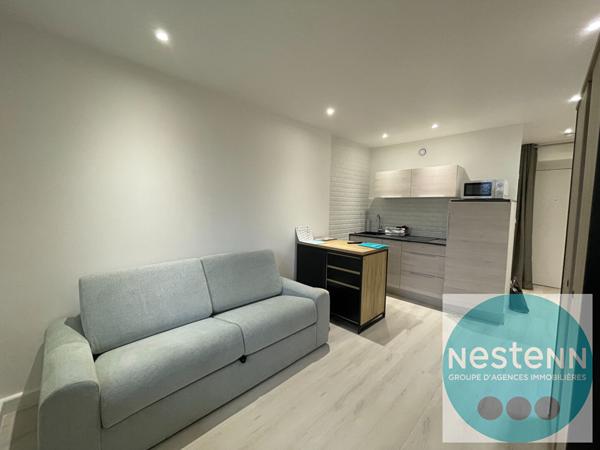 Studio Meublé Olivet 20 m2