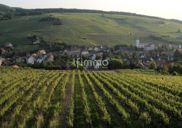 3P Appt Haut de gamme à Barr