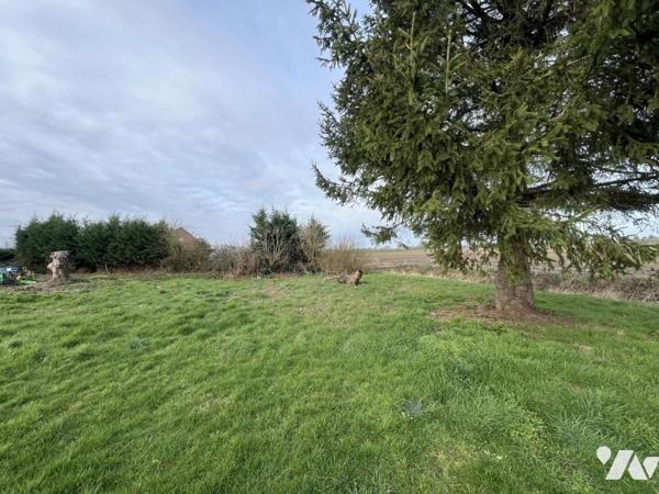 TERRAIN A BÂTIR RUMEGIES