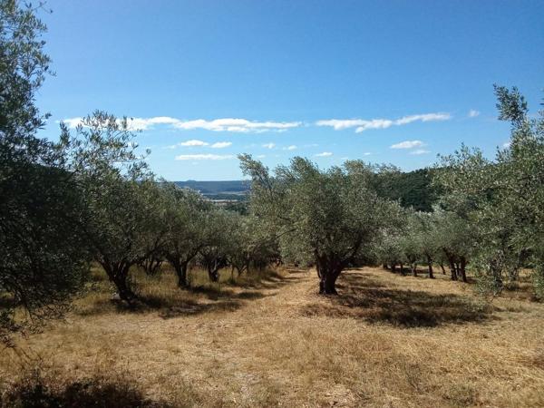 Vente / Bergerie