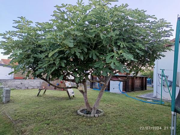 Seyresse (40180) Maison de plain-pied 4 chambres – Seyresse