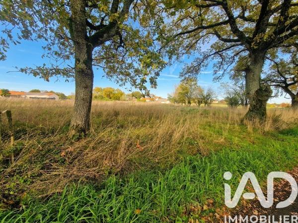 Terrain à vendre 761 m² La Limouzinière