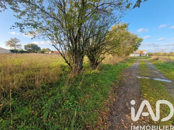 Terrain à vendre 761 m² La Limouzinière