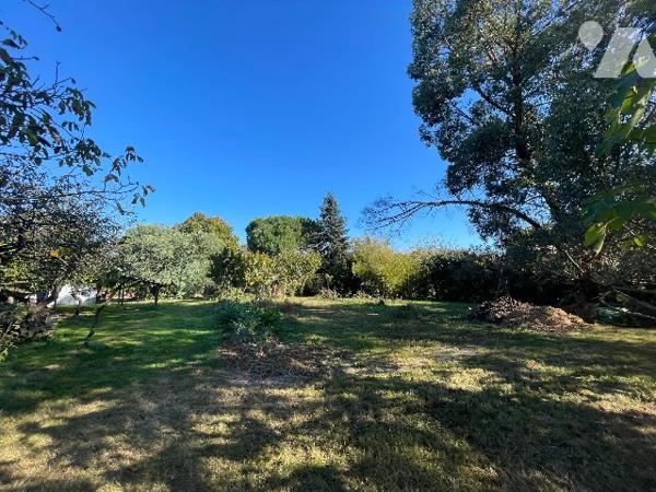 Maison T4 avec plus de 1 hectare de terrain et dépendances