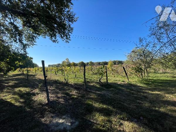 Maison T4 avec plus de 1 hectare de terrain et dépendances