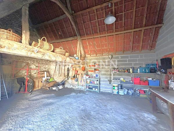 MAISON 3 PIECES AVEC DÉPENDANCES DANS UN ENVIRONNEMENT CALME À MEUSNES (LOIR ET CHER 41)