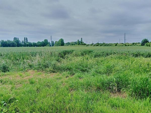 Terrain constructible campagne Aire-sur-la-Lys