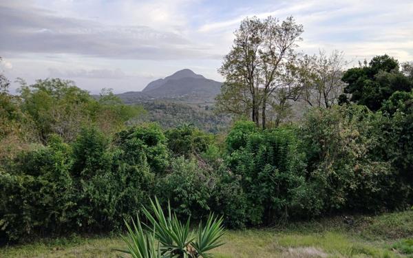 Maison à vendre    4 pièces •  Le Diamant