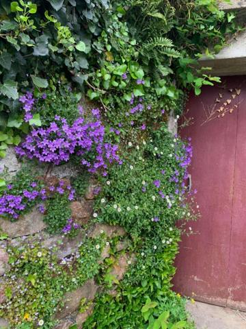 Quimperlé basse ville Maison 3CH + dépendances, calme, terrain constructible