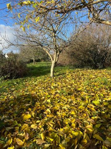 Quimperlé basse ville Maison 3CH + dépendances, calme, terrain constructible