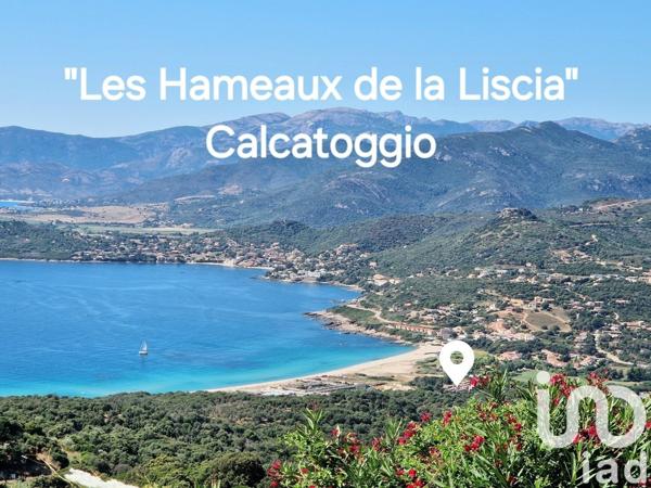 Appartement à vendre 1 pièce 31 m² Calcatoggio