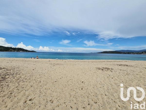 Appartement à vendre 1 pièce 31 m² Calcatoggio