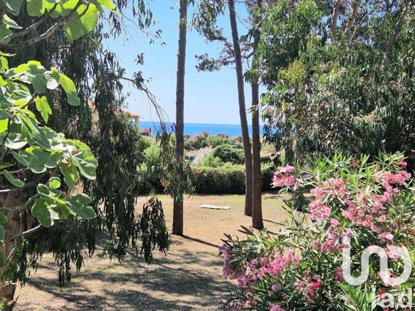 Appartement à vendre 1 pièce 31 m² Calcatoggio