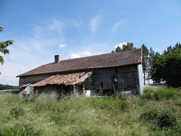 Damazan (47160) Maison et séchoir à rénover