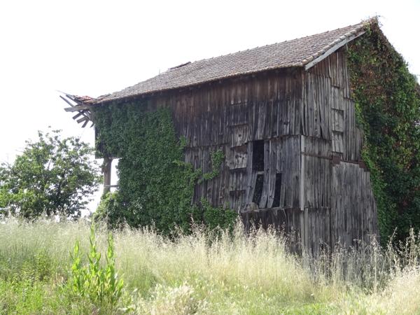 Damazan (47160) Maison et séchoir à rénover
