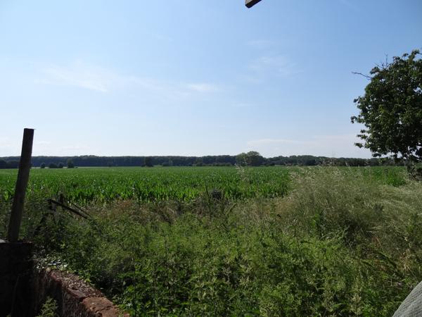 Damazan (47160) Maison et séchoir à rénover