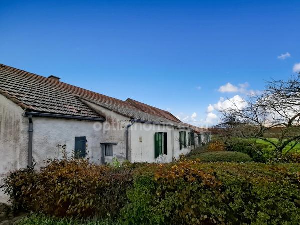 Maison à rénover avec nombreuses dépendances et grand terrain – Espinasse-Vozelle (03)